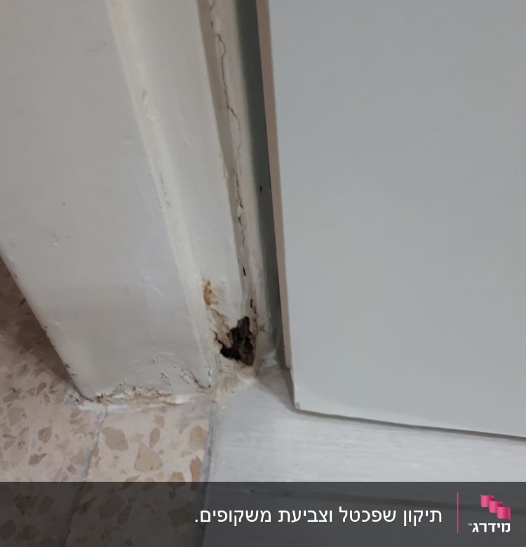 נזק בעץ ליד דלת, דורש תיקון